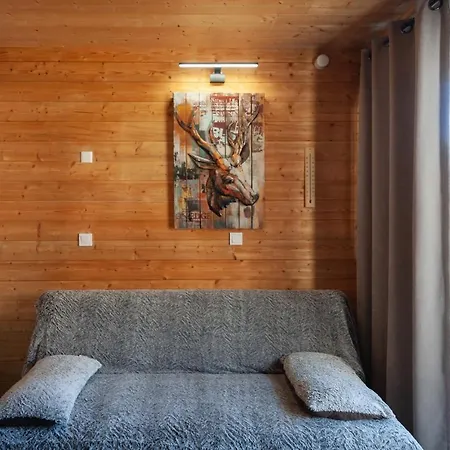 Vue Sur La Montagne, Au Pied Des Pistes 411 *