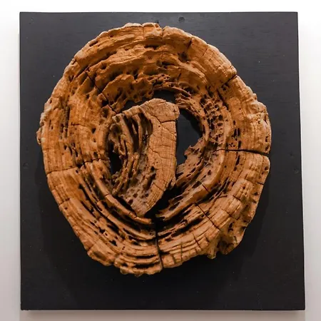 Vue Sur La Montagne, Au Pied Des Pistes 411 Val Thorens