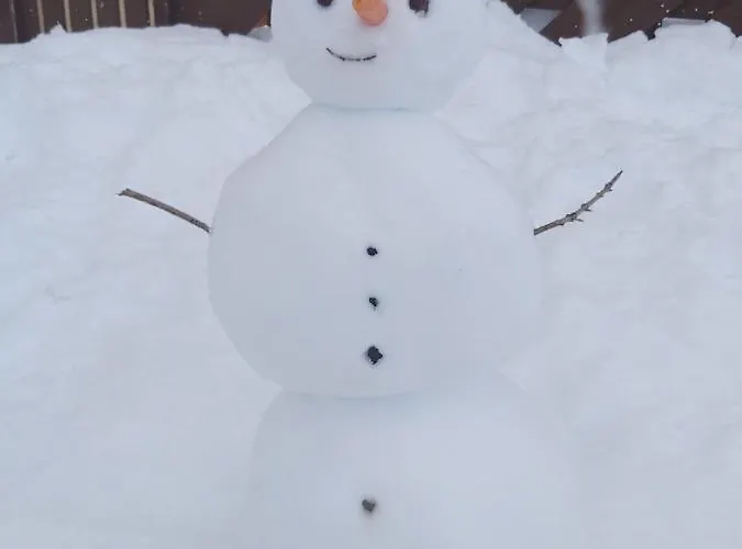 Vue Sur La Montagne, Au Pied Des Pistes 411 Διαμέρισμα