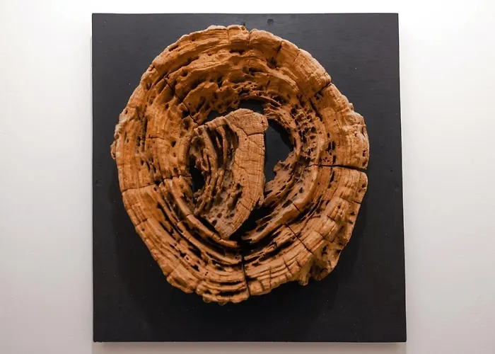 Vue Sur La Montagne, Au Pied Des Pistes 411 Val Thorens